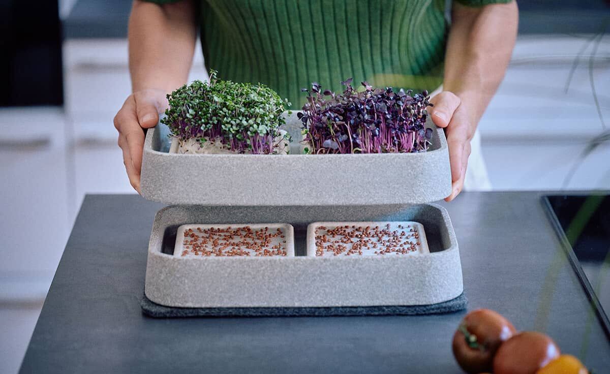 DENK Keramik Mikrogarten XL-SET Pflanzstation für Microgreens Granicium® | MGXL von DENK Keramik