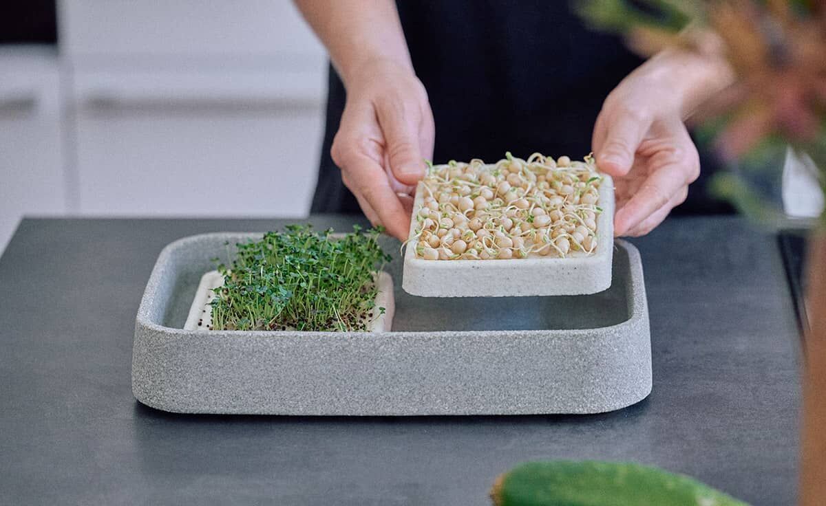 DENK Keramik Mikrogarten XL Pflanzstation für Microgreens Granicium® | MGXL von DENK Keramik
