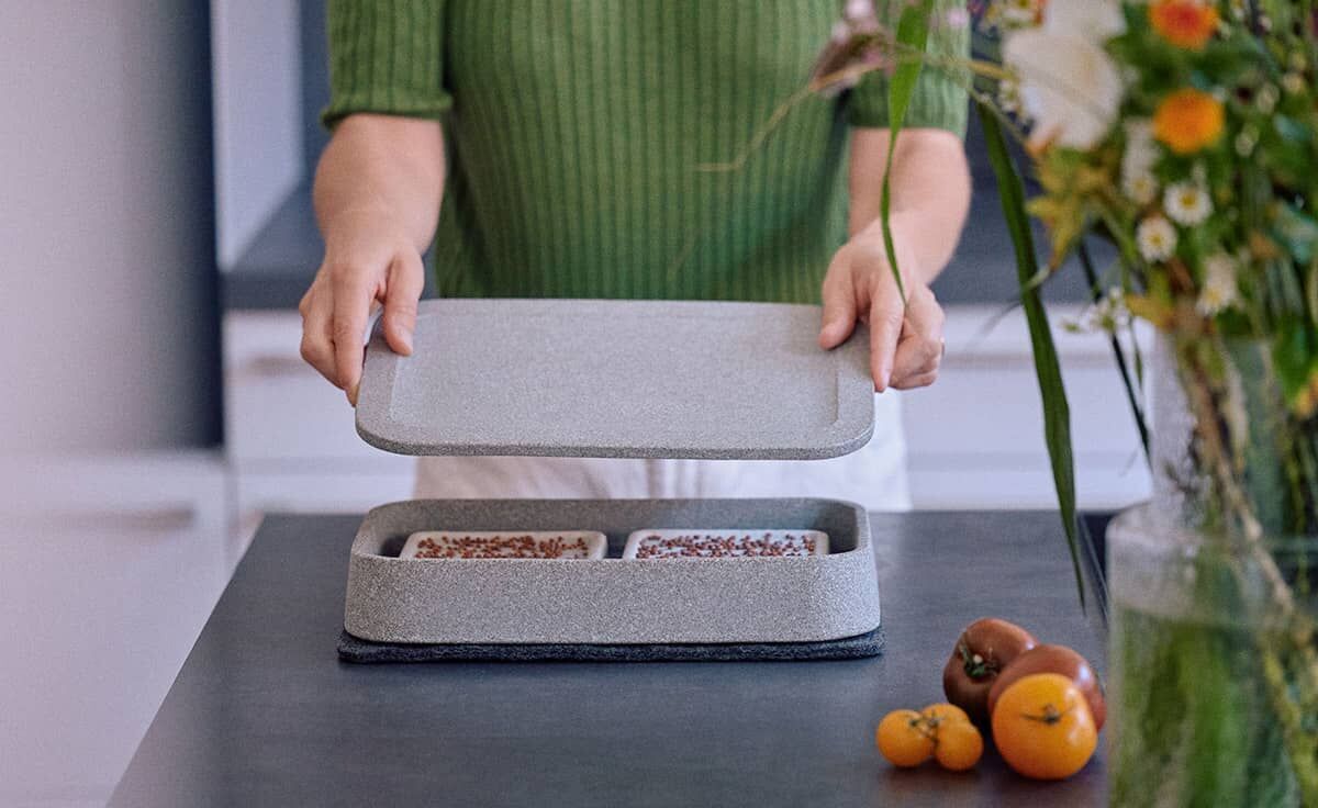 DENK Ernteteller XL Mikrogarten Granicium | MGXL-ET von DENK Keramik